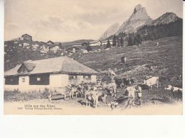 Alp Idille, ca. 1910