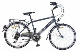 SALE => 21-Gang TOTEM Jugend City Bike montiert