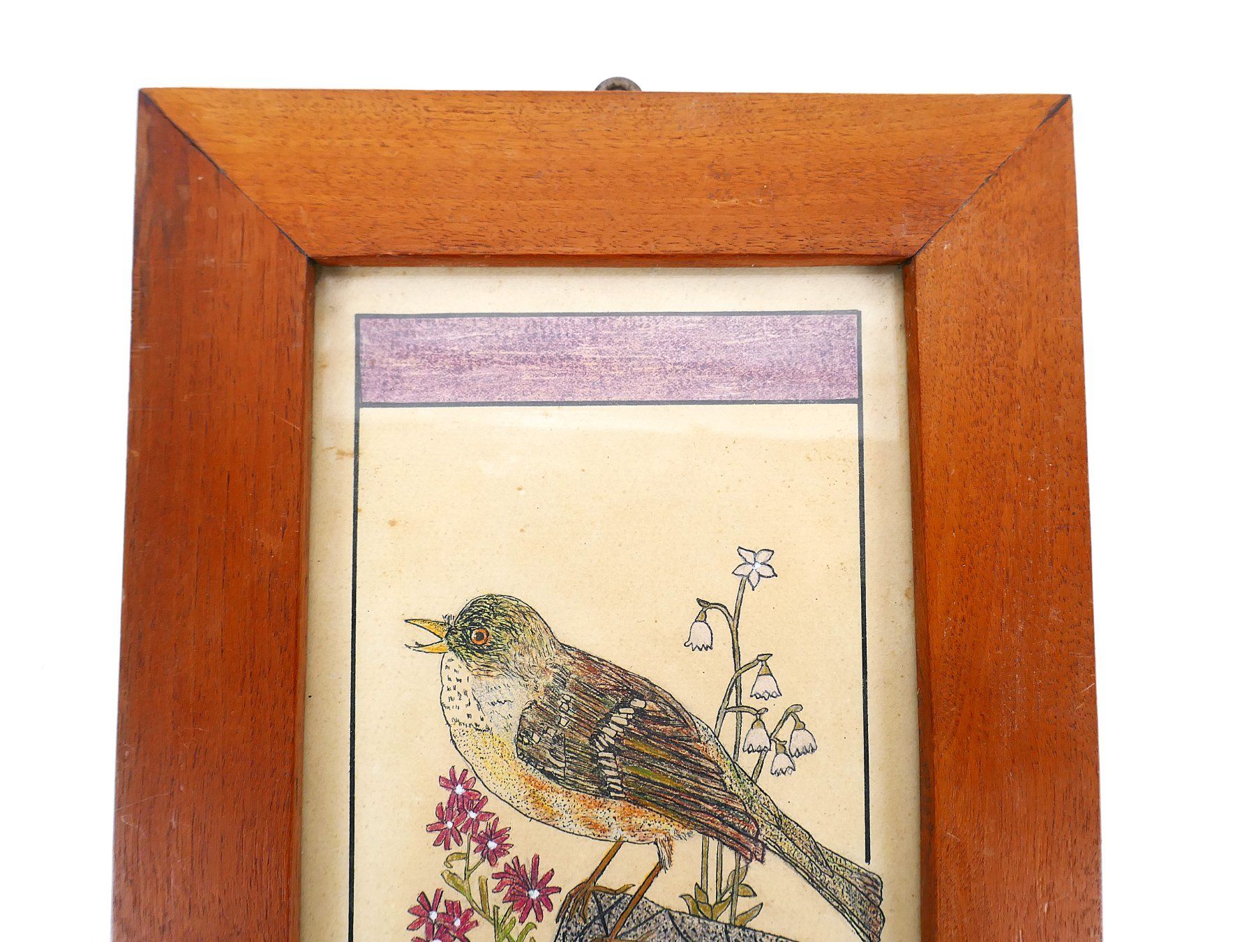 Tableaux: Vogel Zeichnung – D'occasion à Urtenen-Schönbühl par Restwert_Schoenbuehl 2
