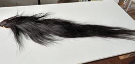 Bemalter Pferdeschweif der Cheyenne