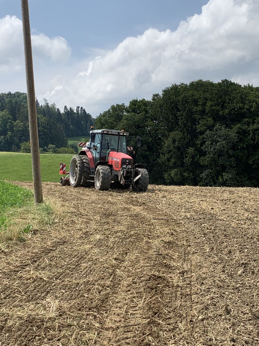 Massey Ferguson Trattori: Massey Ferguson – Usato da Niedermuhlern venduto da Claasaxos 5