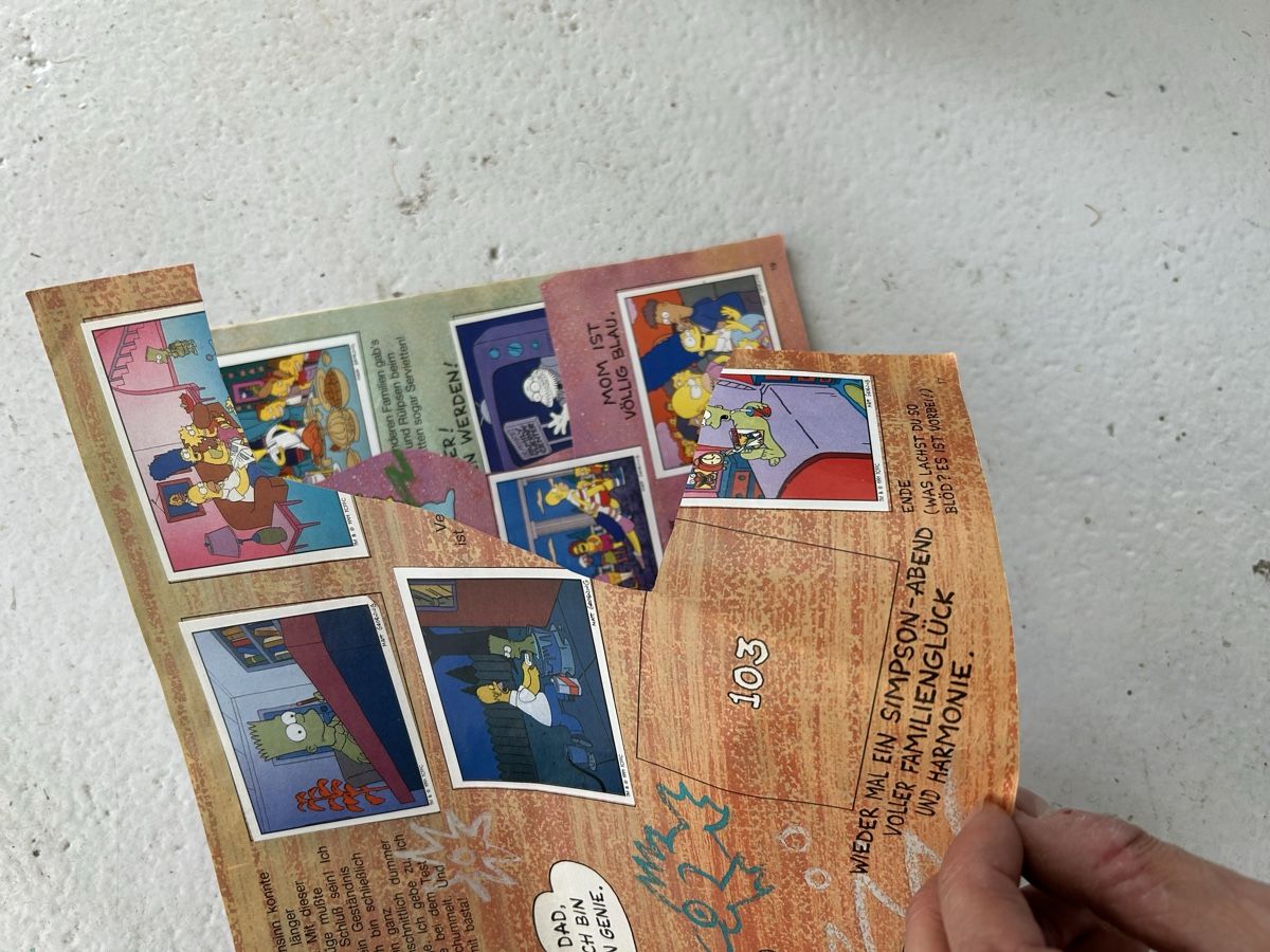 Panini Album: Altes Simpsons Panini Album – Usato da Bern venduto da spraydose 6