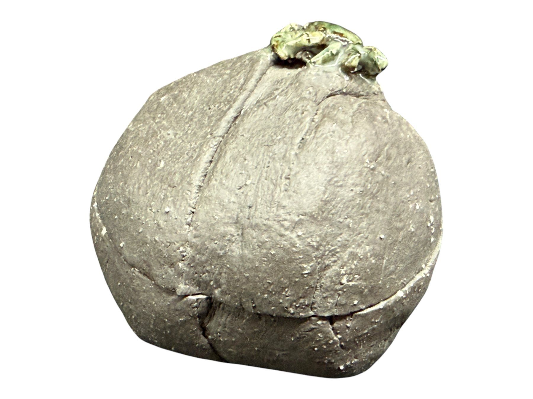 Schmuckkästen: Boîte à bijoux en grés représentant un crabe sur un rocher – Gebraucht aus Morges von deco.vintage 5