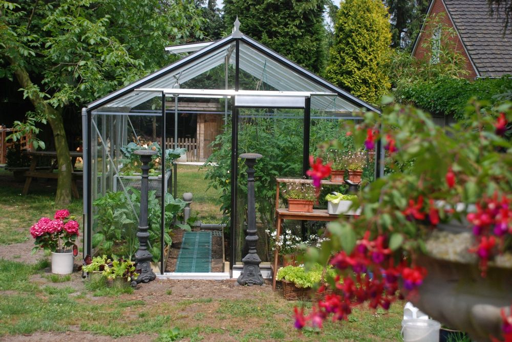 Gebrauchtes Gewachshaus Glas