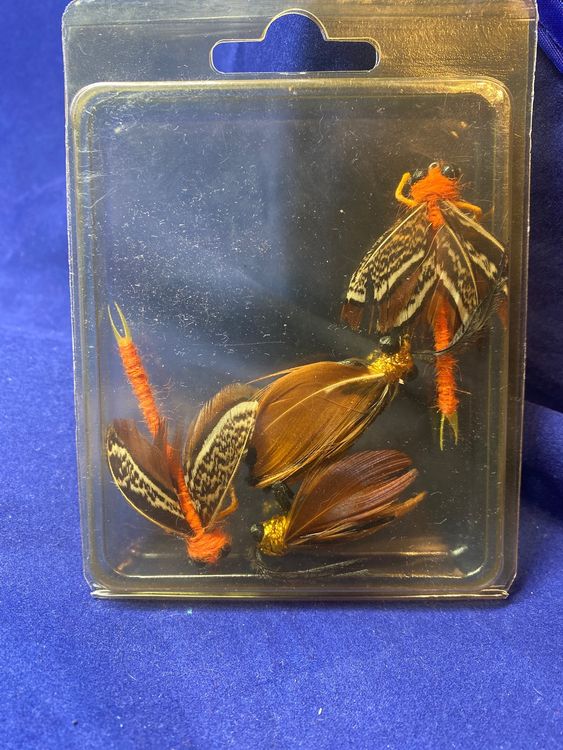 2 Fliegenfisch-Köder Bienen Design - Schwimmende Forellenköder Mit Box