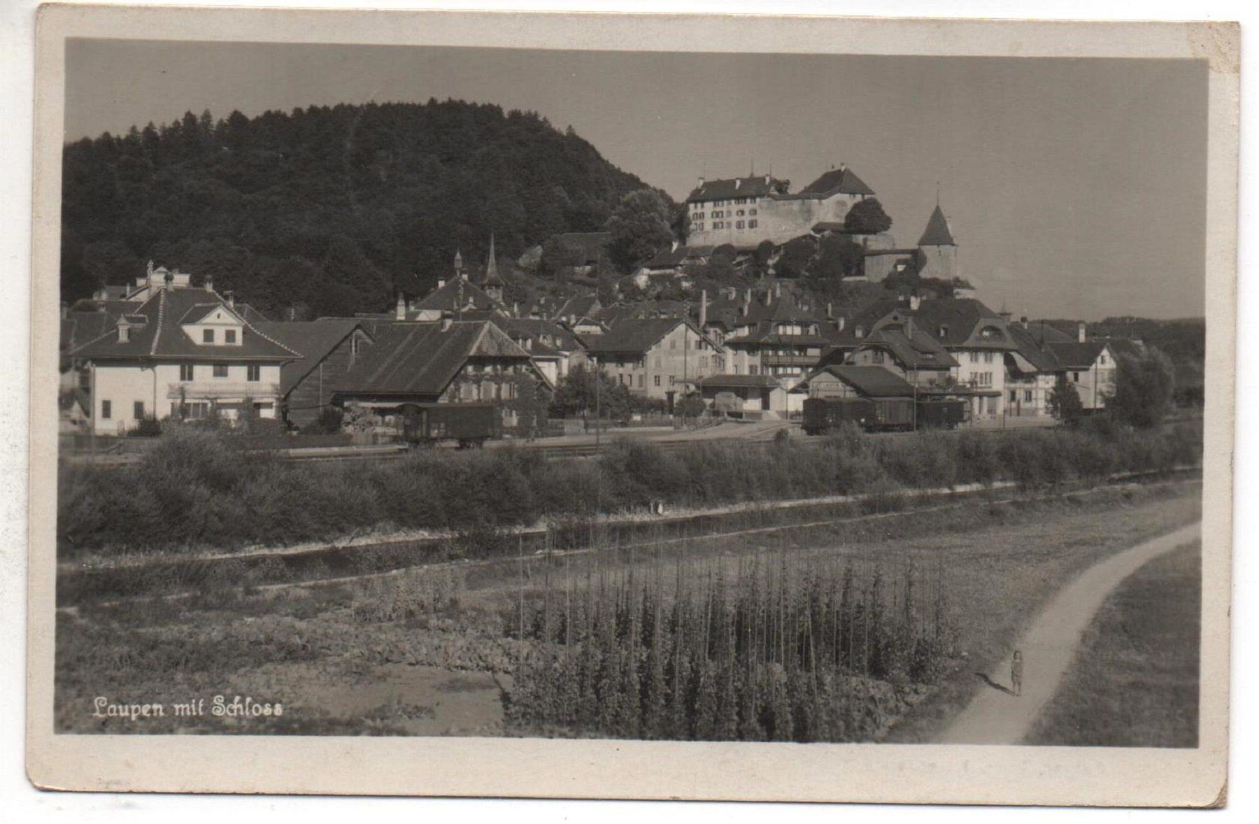 Cartoline postali: LAUPEN mit Schloss und Bahnhof – Usato da Jona venduto da philajona