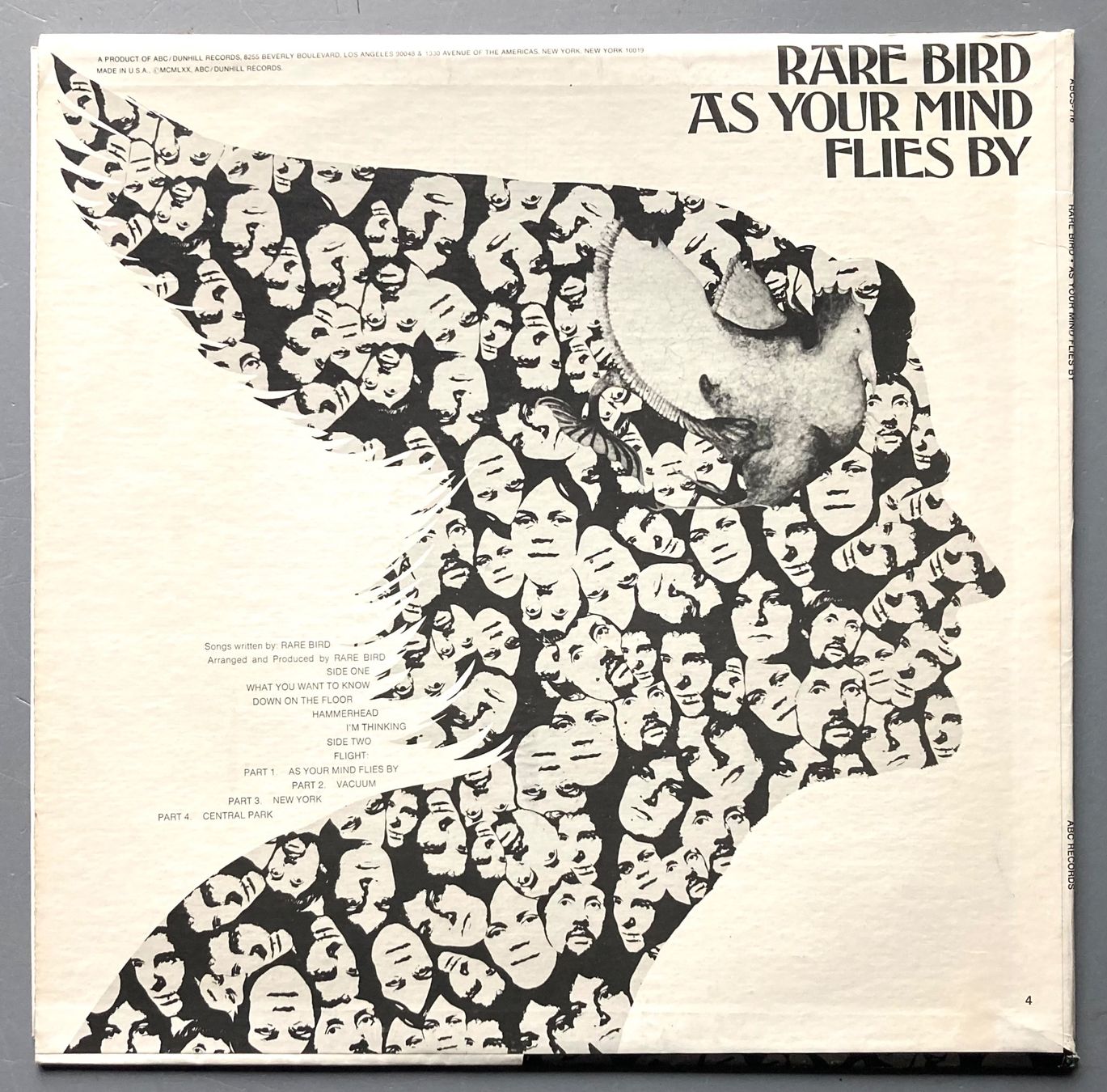 Vinyles: RARE BIRD - AS YOUR MIND FLIES BY – D'occasion à Poliez-Pittet par Newtown-Records 1