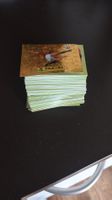 Panini Football Stickers Collection +250 