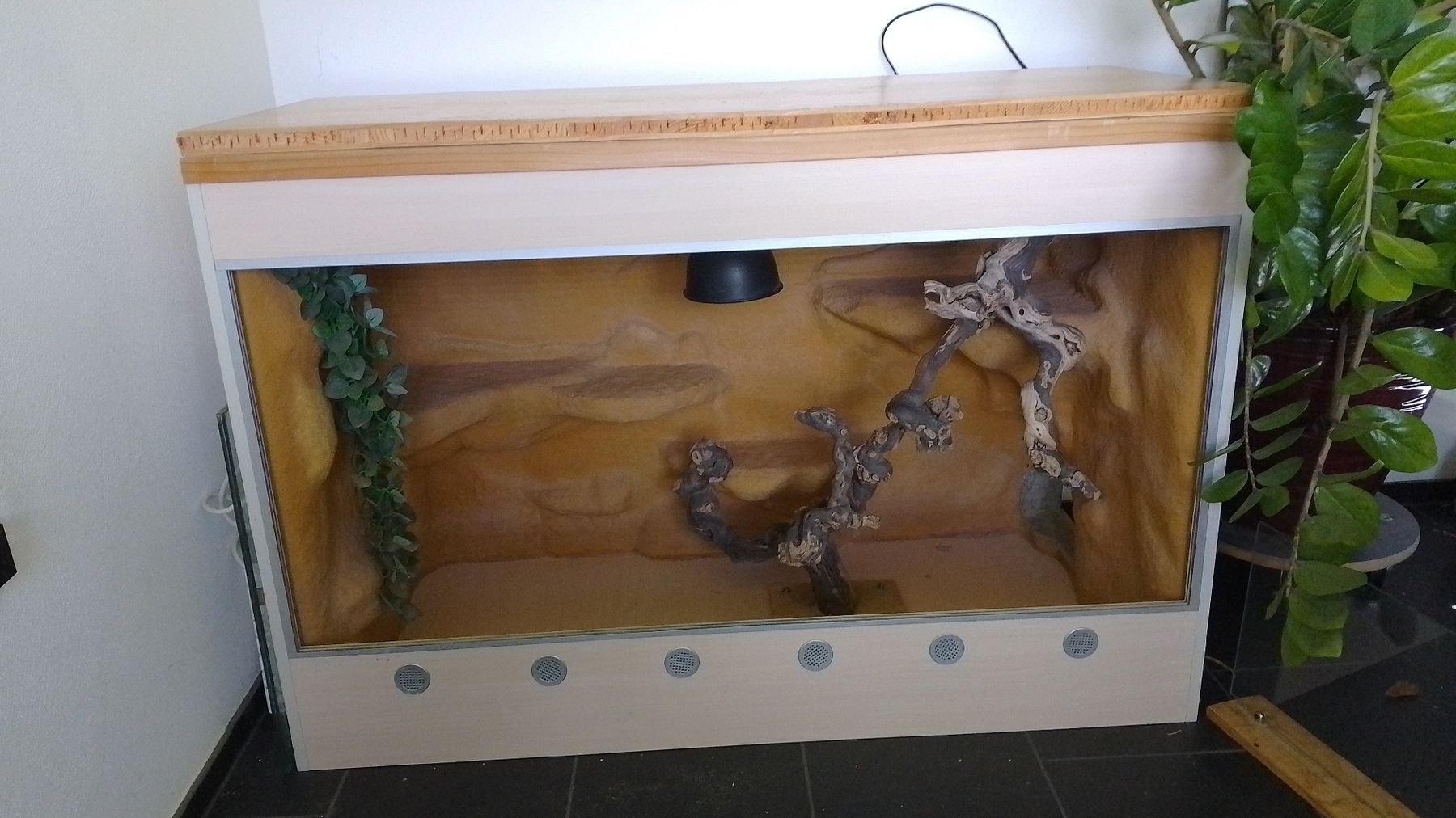 Terrarium: Terrarium 120 – Gebraucht aus Rüti ZH von Panana22