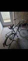 Antik Velo