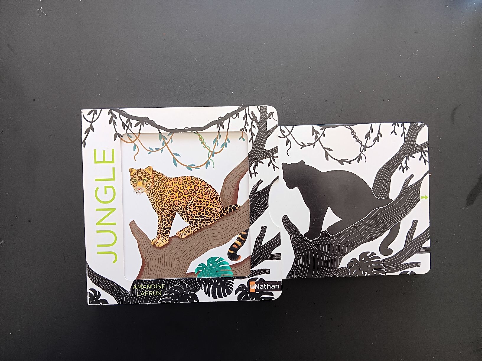 Bücher: livre noir et blanc pour bébé – Gebraucht aus Lausanne von Grabock 1