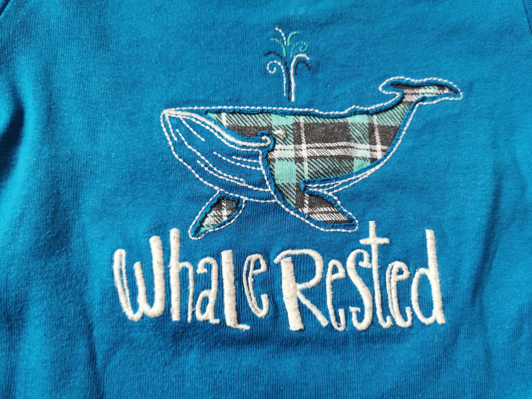 Camicie, T-shirt & Polo: T-Shirt Hatley Gr. 92 – Usato da Stäfa venduto da flamingo_17 1