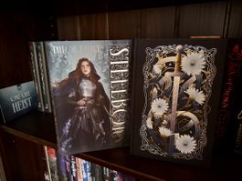 Steelborn – Taylor J. LaRue | Romantasy | FairyLoot Adult