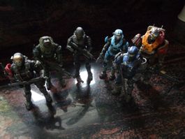 HALO Nobel Team