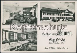 ZH Elgg