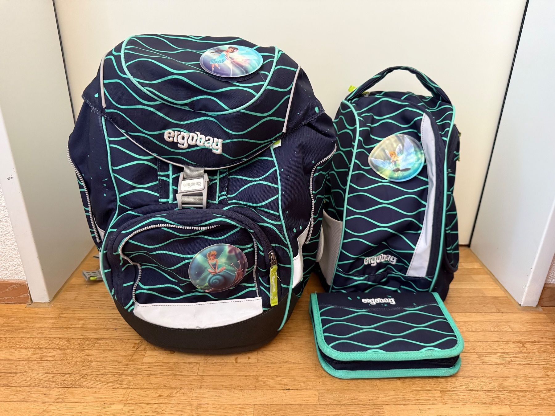 Ergobag Borse & Zaini: Schulthek Schulranze Ergobag Fairy / Fee – Usato da Zürich venduto da Rolik123