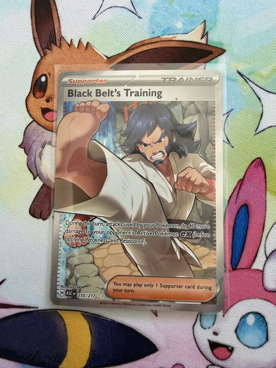 Pokémon Carte collezionabili: Pokemon Black Belt's Training  255/217 ASC  – Usato da Grindelwald venduto da TSG-G-Town
