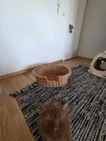 Klassischer Weidenkorb mit Einstieg für Katzen / Hunde – Tie