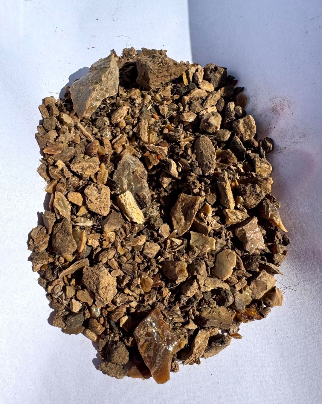 Fossilien: Bernstein    wood amber     winzige Splitter  Sand – Neu und originalverpackt aus Leuggern von gemshow 1