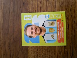Panini Argentinien 9
