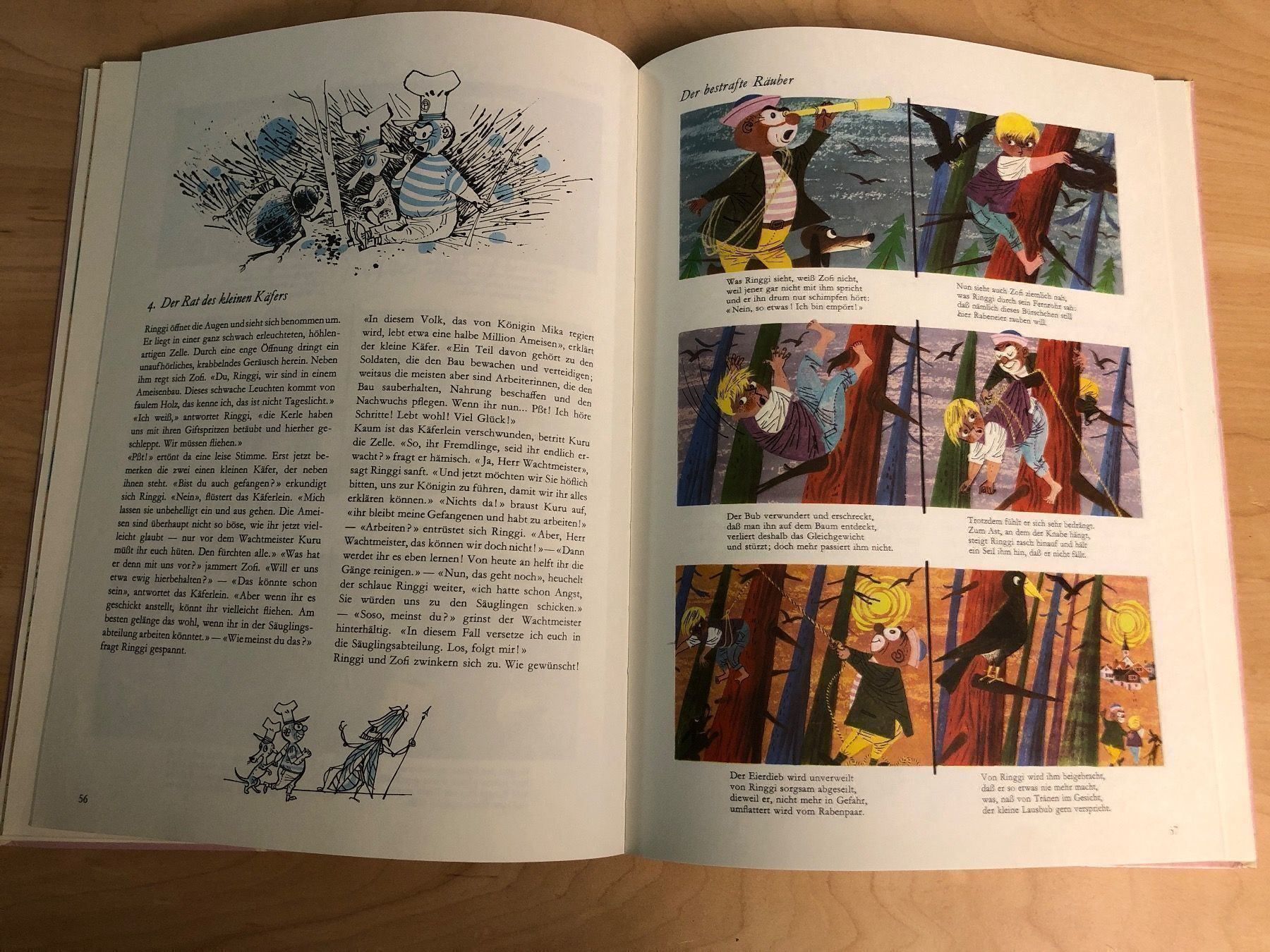 Livres: Ringgi+Zofi Kinderbuch – D'occasion à Obergerlafingen par cabo4 1