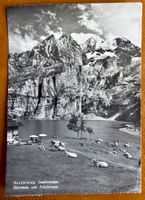 Oeschinensee  1966
