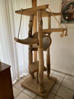 Grosser Katzenbaum