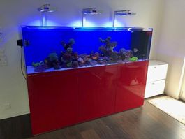 Top Design Acryl Glas Meerwasseraquarium von SEA PLANET