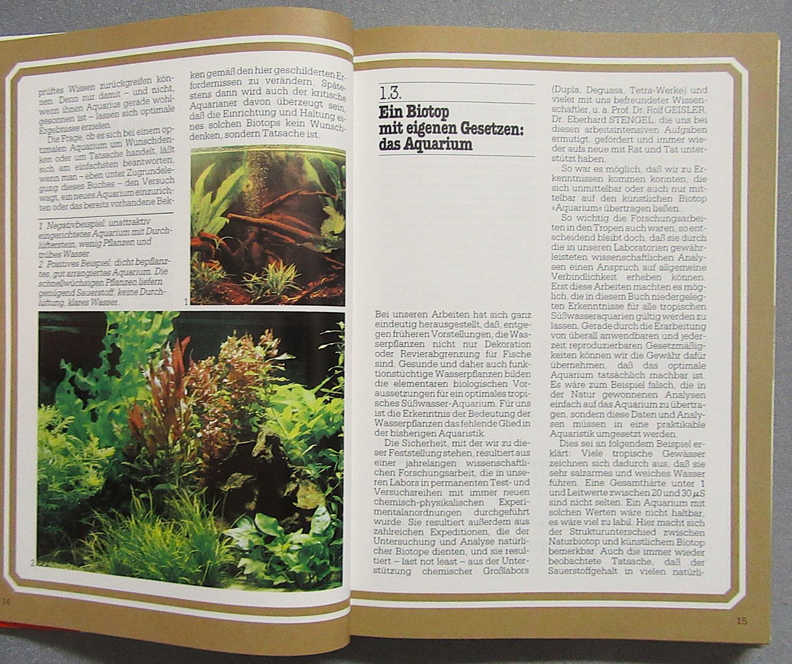 Libri: Das Optimale Aquarium - Süsswasser-Aquarium – Usato da Auenstein venduto da Padabimbim 4