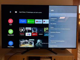 Sony KD-65AG8 super Zustand, OLED 65