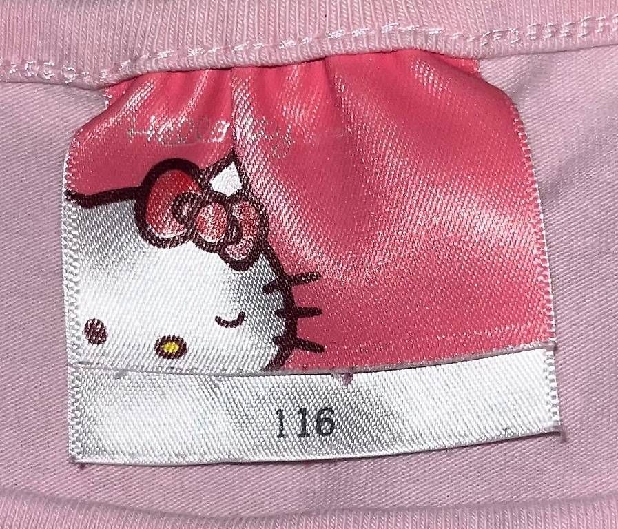 Camicette, T-shirt & Top: HELLO KITTY Langarmshirt rosa Gr. 116 – Usato da Weiach venduto da mina25 1