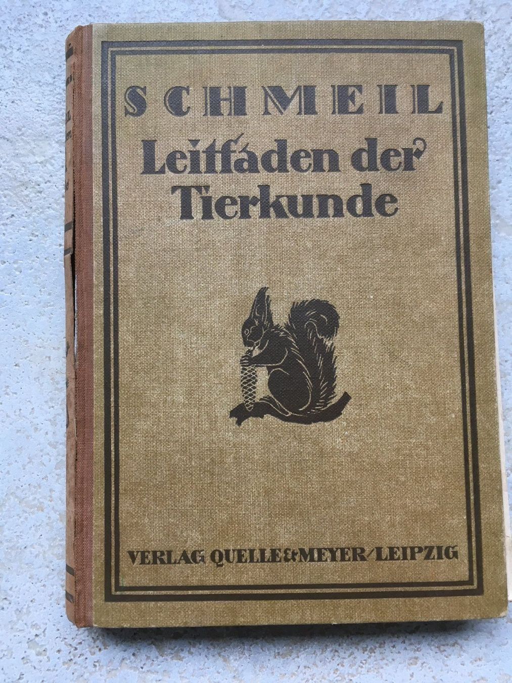 Libri: Antikes Tierkunde-Buch 1926 – Usato da Wettingen venduto da Ecaramel