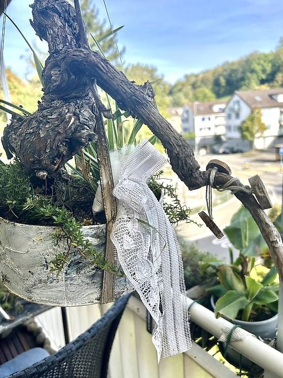 Alle Dekorationen: Bepflanzte Guetzlibüchse  – Neu und originalverpackt aus Frauenfeld von Irene.Schuppli 2