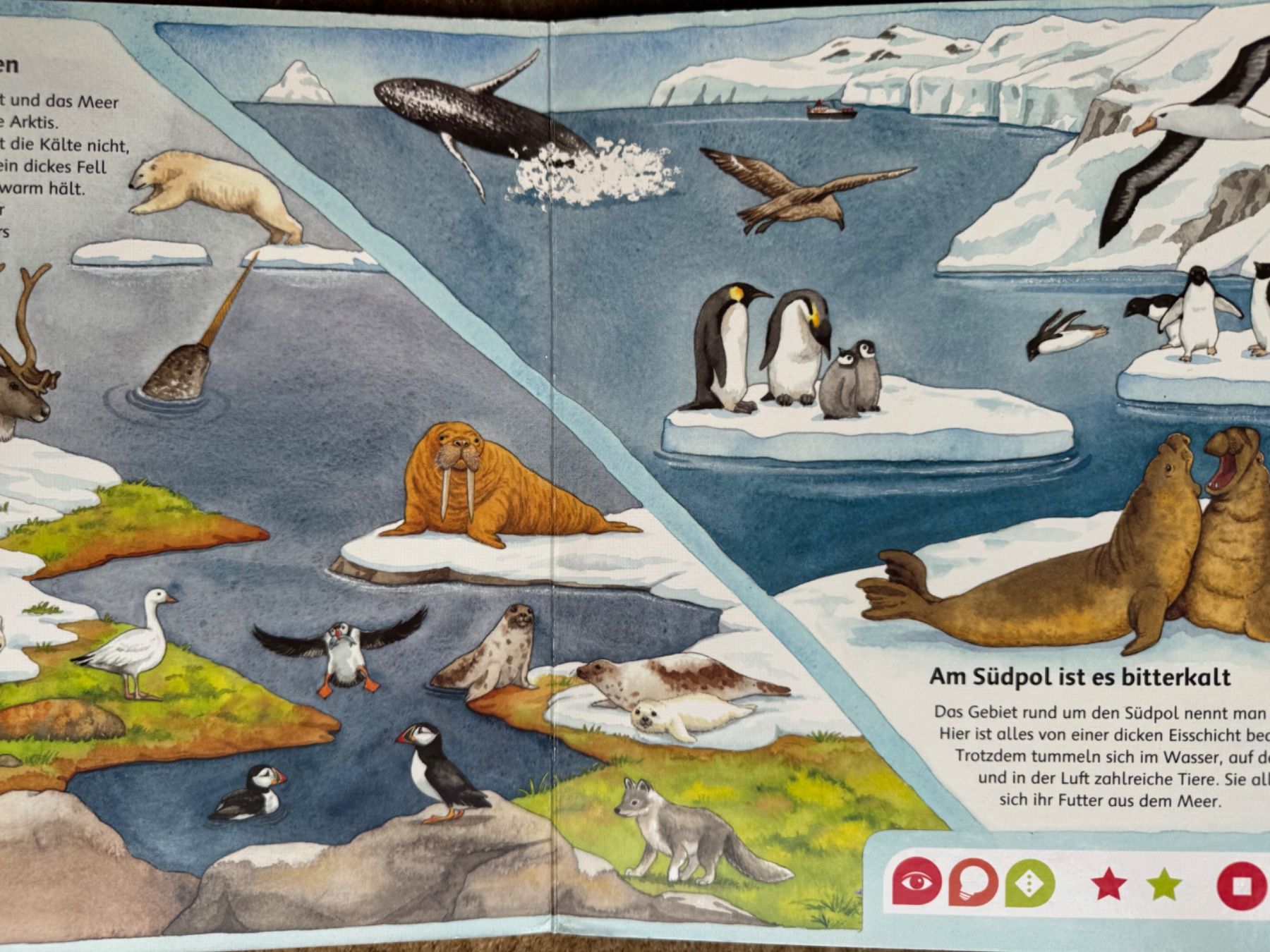 Libri: Tiptoi - Bilderlexikon Tiere – Usato da Aarau venduto da Kilauea 7