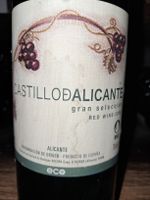 Castillodalicante gran seleccion 2008