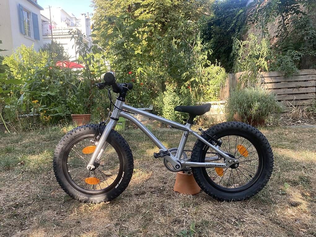 Biciclette: Early Rider 16" Kinder Velo – Usato da Basel venduto da timbookedhim 4