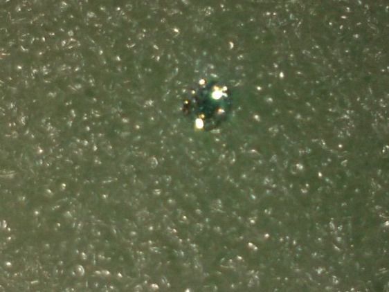 Pietre preziose: ECHT DIAMANT 1CARAT,,,RUND FORM,,,GLANZIG – Nuovo (secondo la descrizione) da Basel venduto da bijoutrie_4 5