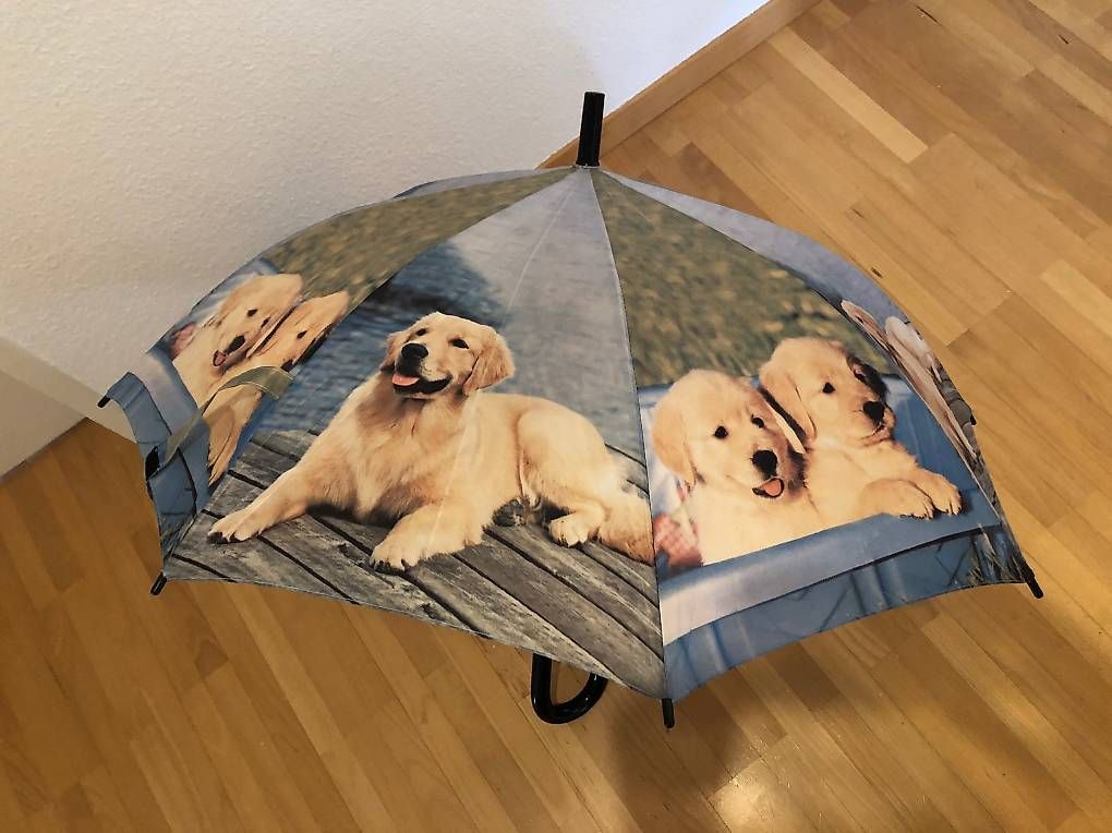 Sonstiges für Kind & Baby: Kinderregenschirm Golden Retriver Hunde – Neu (gemäss Beschreibung) aus Seuzach von Rockyalps