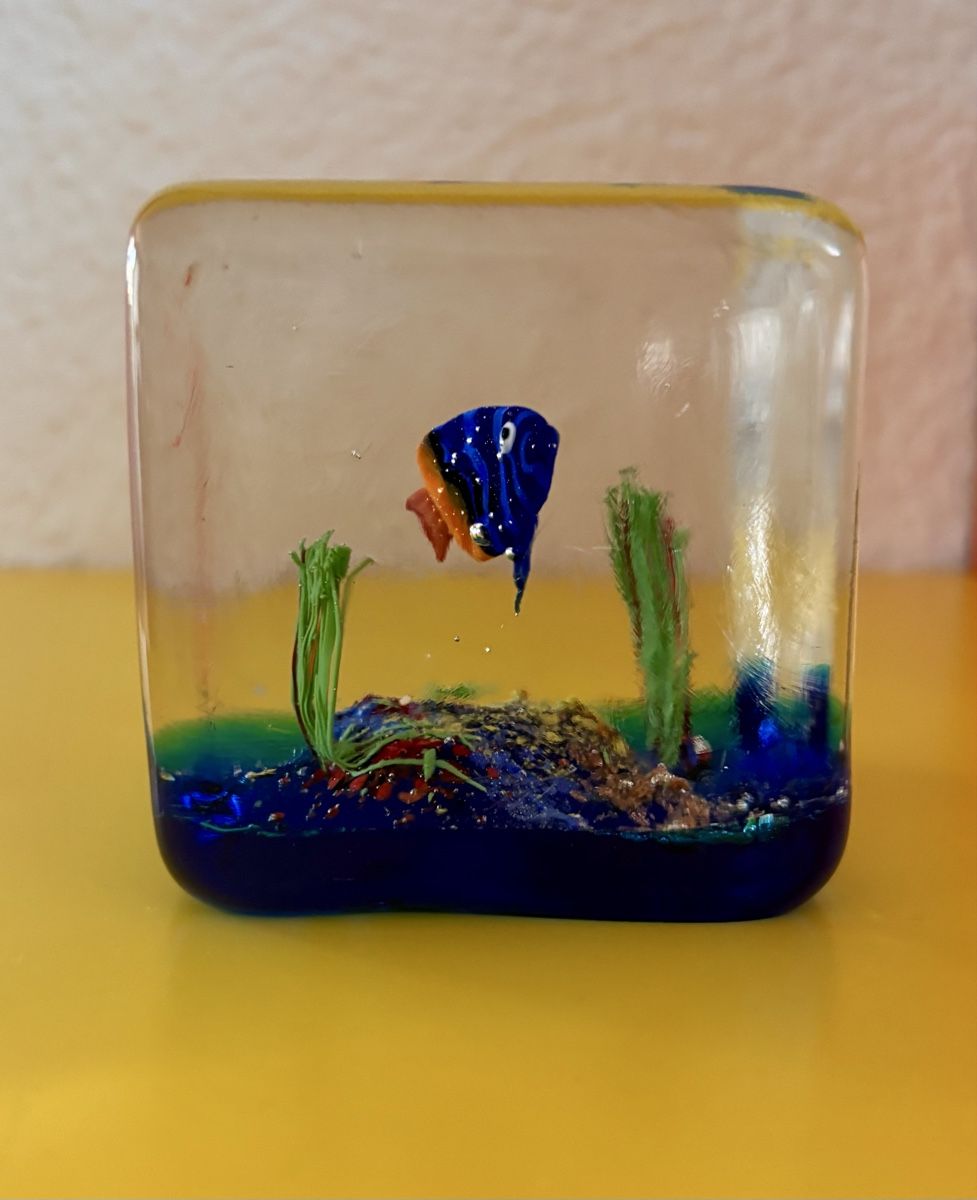 Murano Bicchieri: Murano Briefbeschwerer Würfel Aquarium – Usato da Mellingen venduto da villapepa 2