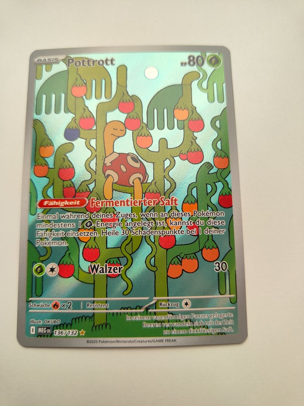 Pokémon Carte collezionabili: Pokemon Shuckle Illustration Full Art Pottrott – Usato da Thalwil venduto da FigurenFreunde