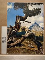 AK von Val Mingèr mit Piz Plauna