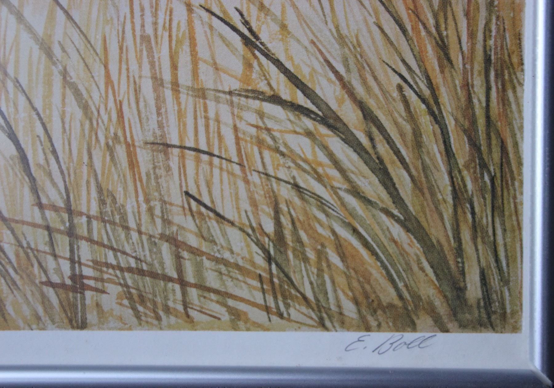 Grafica & Litografie: Tiger - Ernst Boll, Photolithografie – Usato da Hermetschwil-Staff venduto da Starbliggi 2