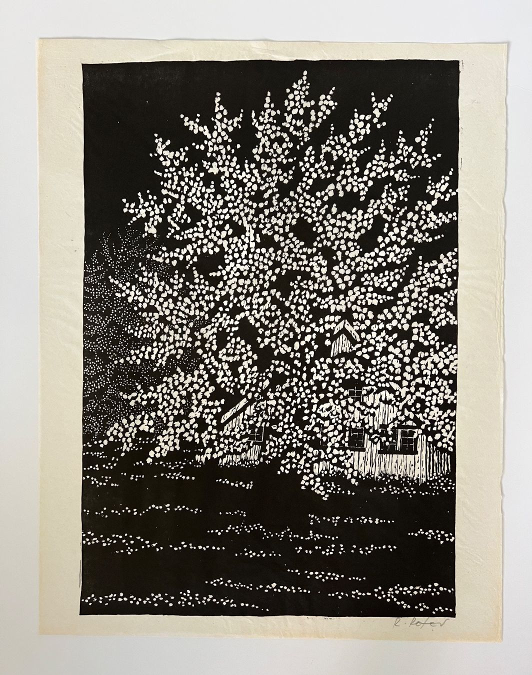 Arts picturaux & lithographies: Ruedi Peter, handsigniert – D'occasion à Rain par Pic-Ass 1