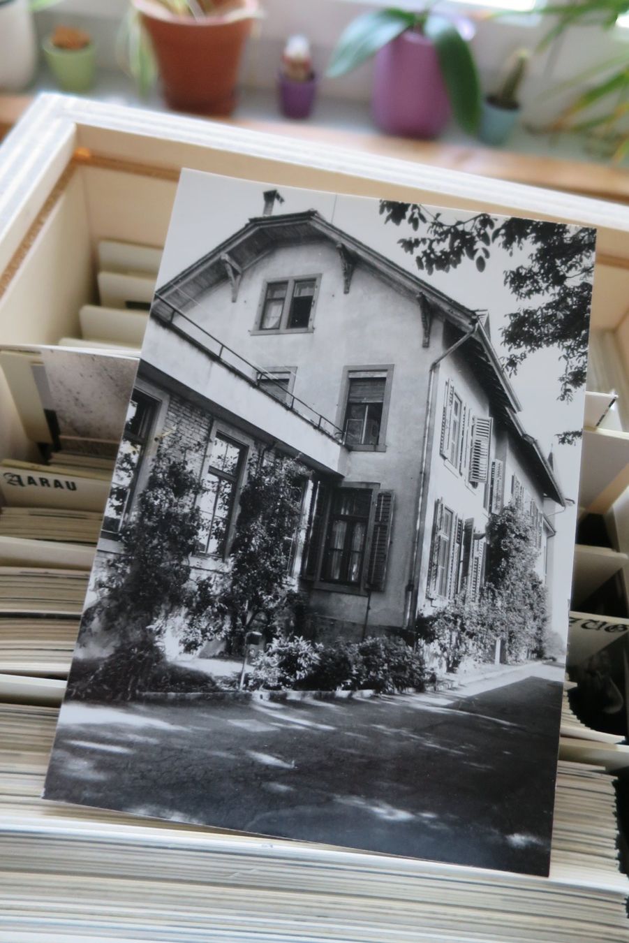 Cartoline postali: ARCHIV ANSICHTSKARTEN VON RUDOLF VISMARA 3000+ – Nuovo (secondo la descrizione) da Wetzikon ZH venduto da Philimpex 2