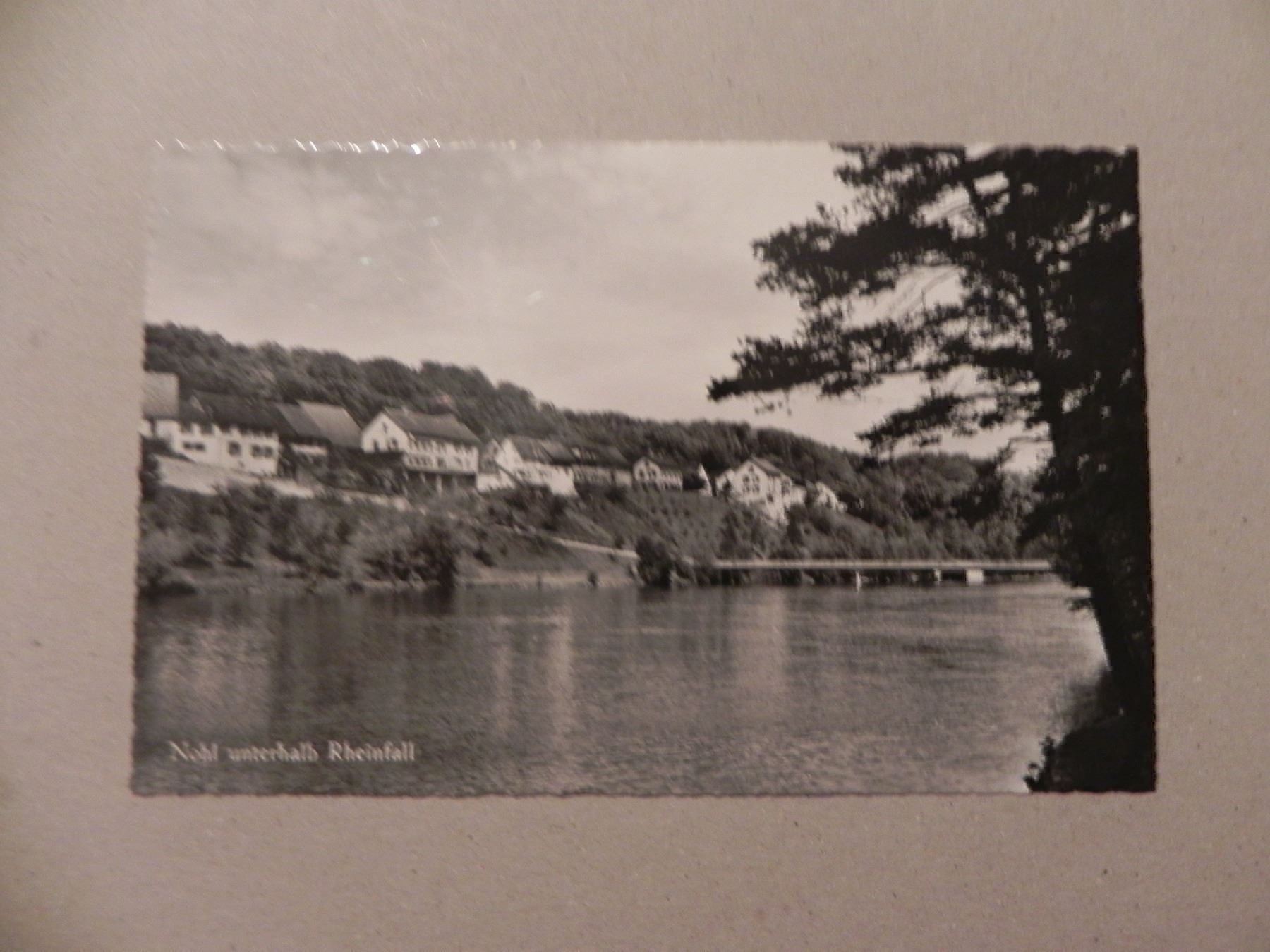 Cartoline postali: Ansichtskarte Nohl Schaffhausen SH 1950 – Usato da Siebnen venduto da krimsie
