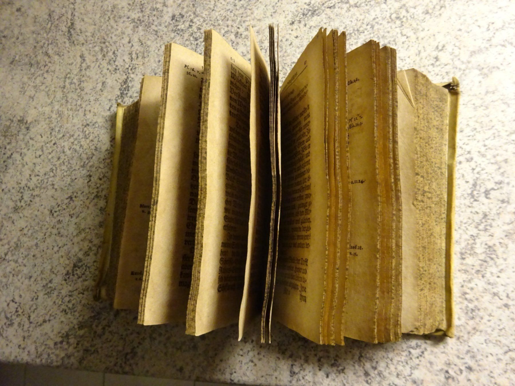 Bücher: GULDENES SCHAZ KAESTLEIN / anno 1686 – Gebraucht aus Esslingen von eintagammeer 5