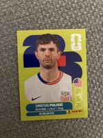 Panini Christian Pulisic