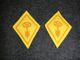 Insignes de col Armée Suisse