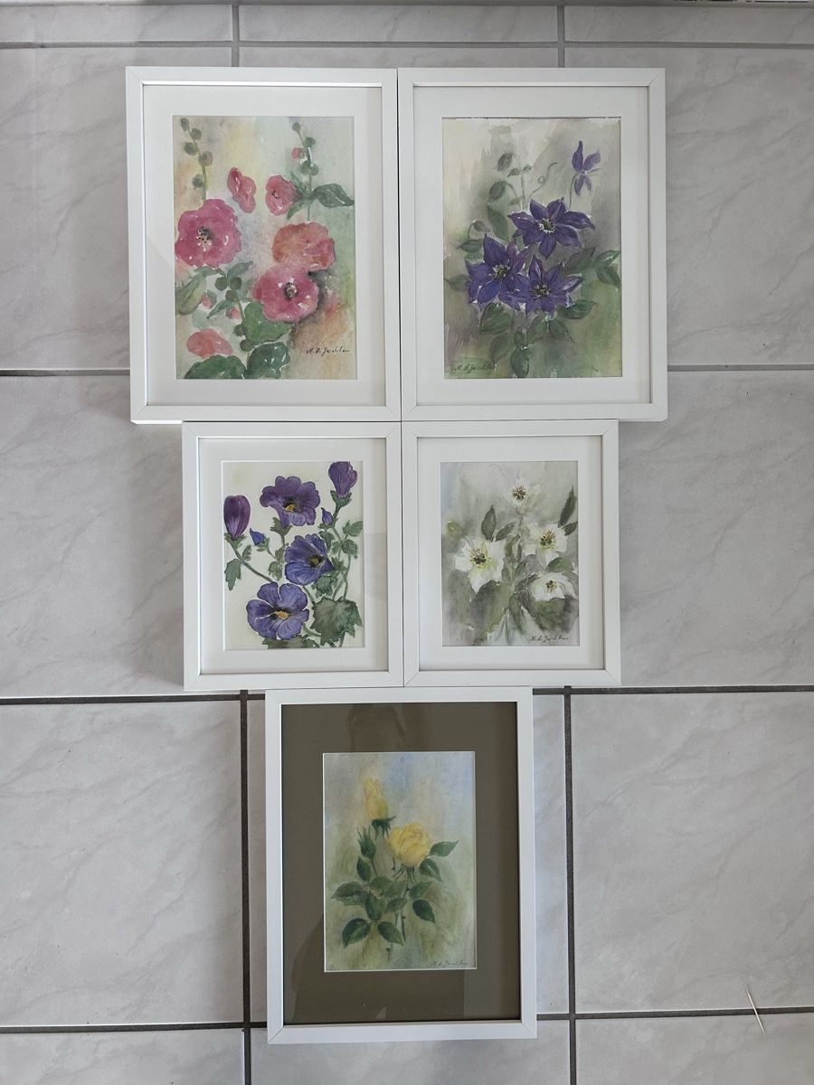 Dipinti: 5 Aquarellbilder / Malerei Blumen – Usato da Solothurn venduto da dbmd333