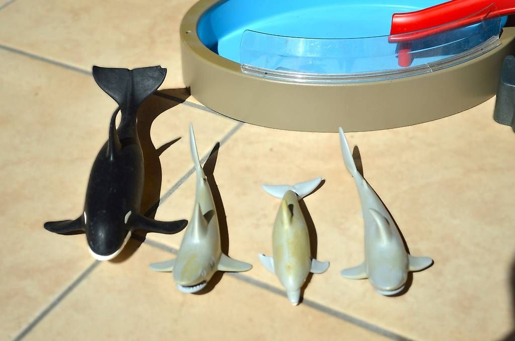 Playmobil Giocattoli: Playmobil Delfin Becken – Usato da Wolhusen venduto da Donbrain 2